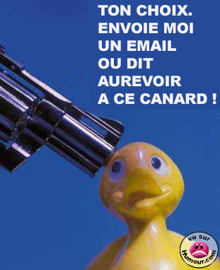 canard